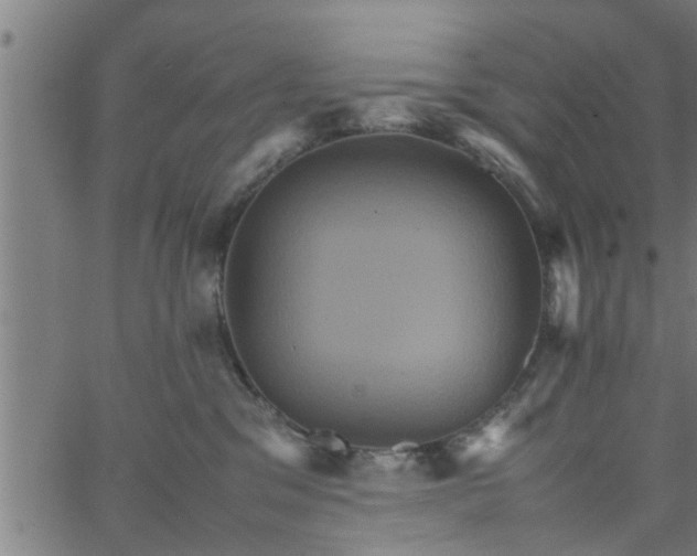 X0000066540329200603311851