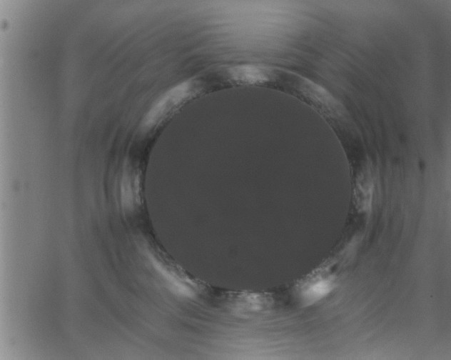 X0000066540330200603311851