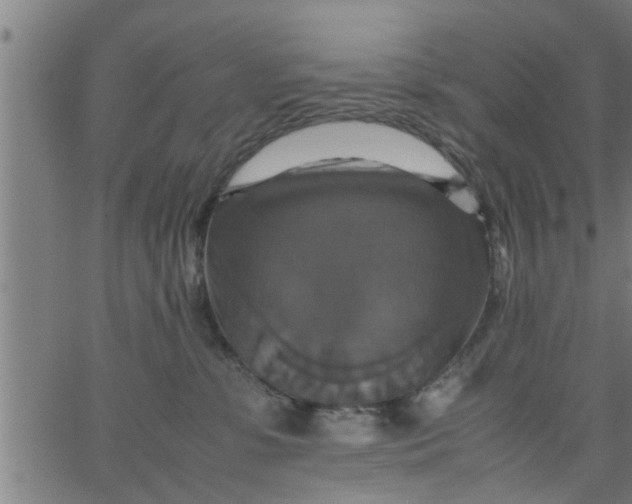 X0000066540331200603311851