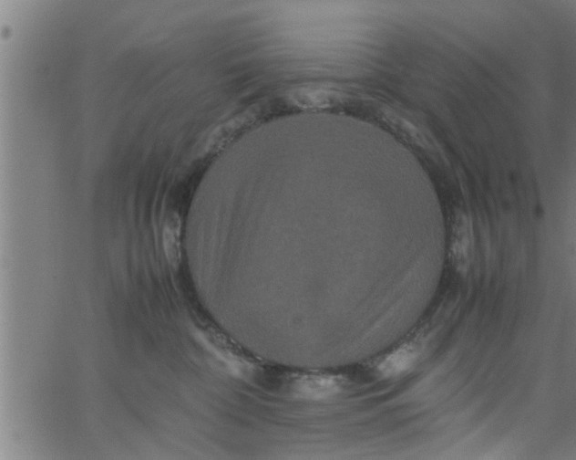 X0000066540332200603311851