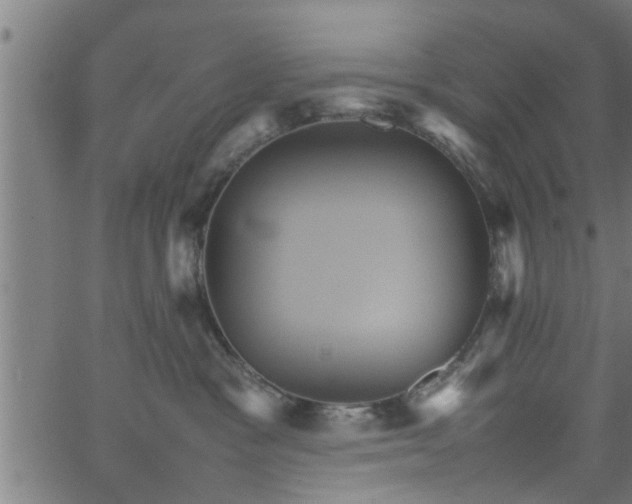 X0000066540333200603311851