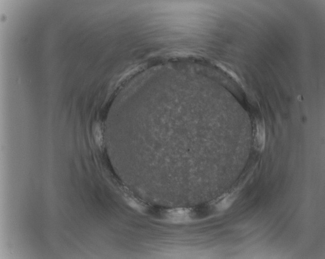 X0000066540335200603311851