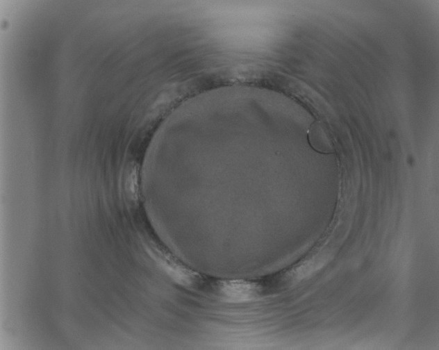 X0000066540336200603311851