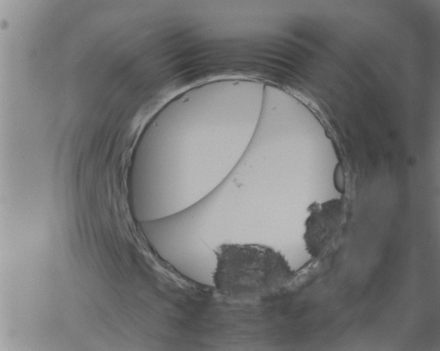 X0000066540337200603311850