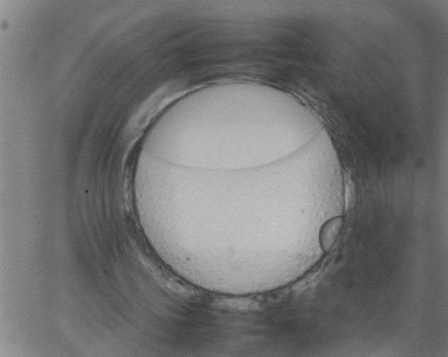 X0000066540339200603311850