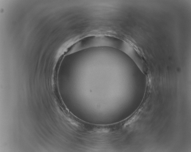 X0000066540340200603311850