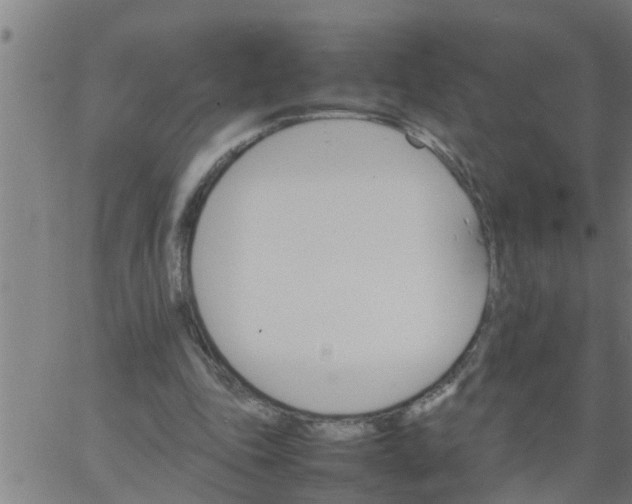 X0000066540343200603311850