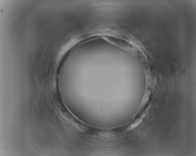 X0000066540344200603311850