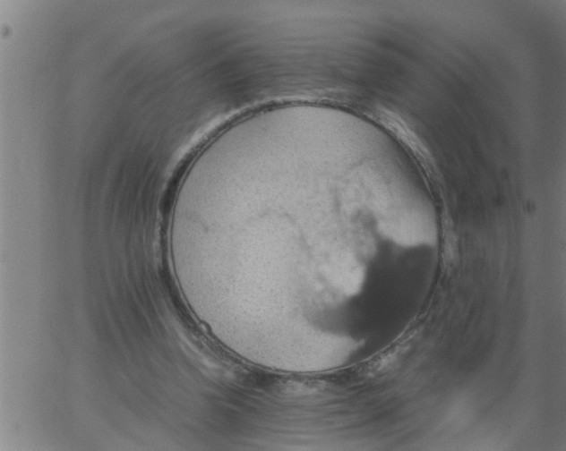 X0000066540346200603311850