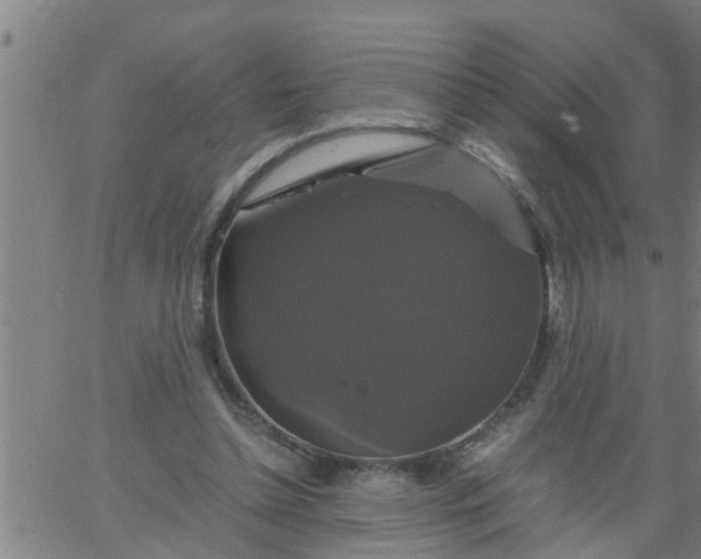 X0000066540348200603311850