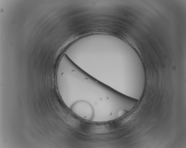 X0000066540349200603311850