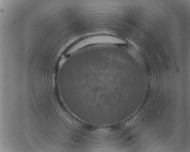 X0000066540350200603311850