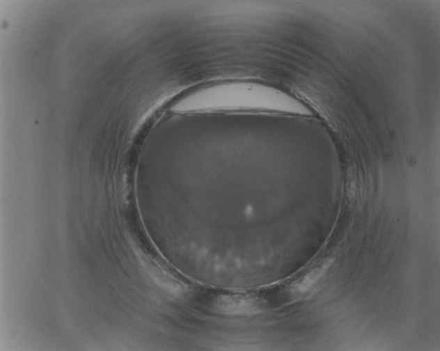 X0000066540351200603311850