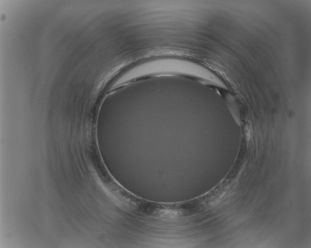 X0000066540352200603311850