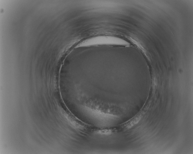 X0000066540353200603311850