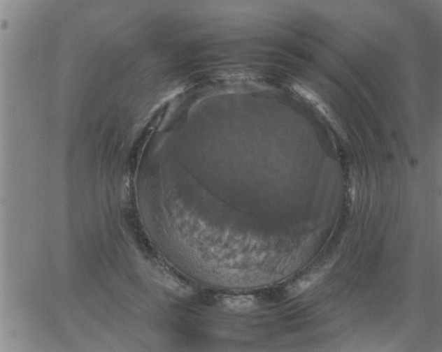 X0000066540355200603311851