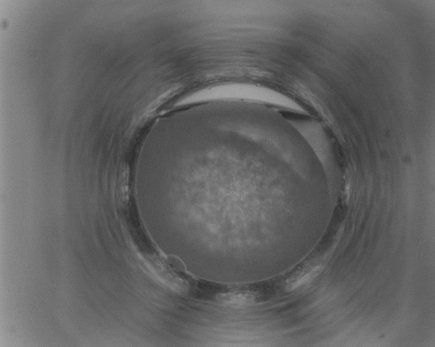 X0000066540356200603311851