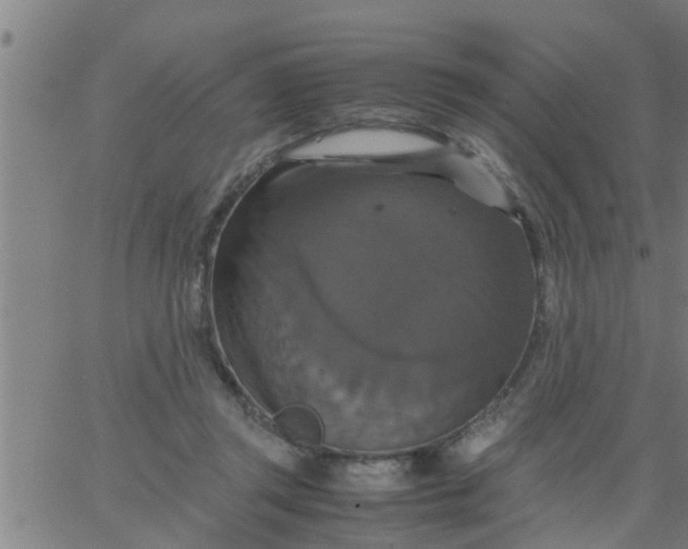 X0000066540357200603311851