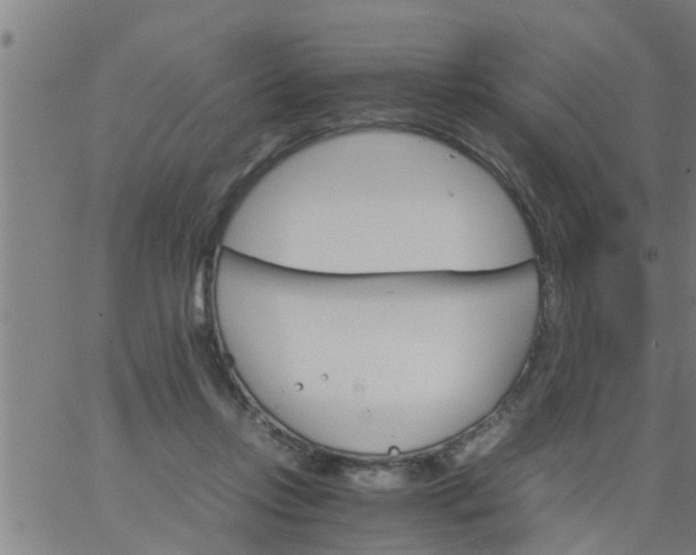 X0000066540358200603311851