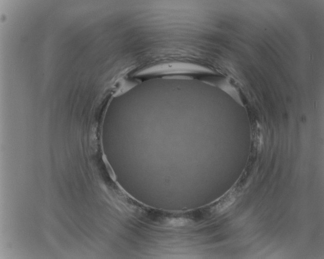 X0000066540360200603311851