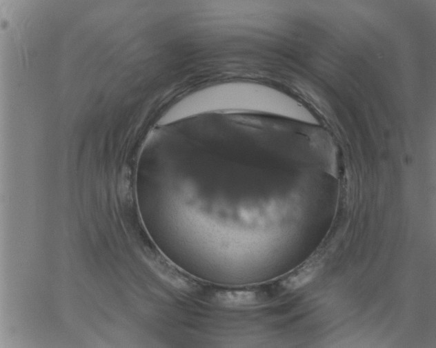 X0000066540361200603311851