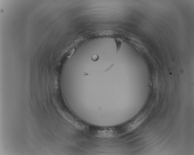 X0000066540362200603311851