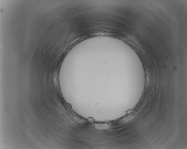 X0000066540363200603311851