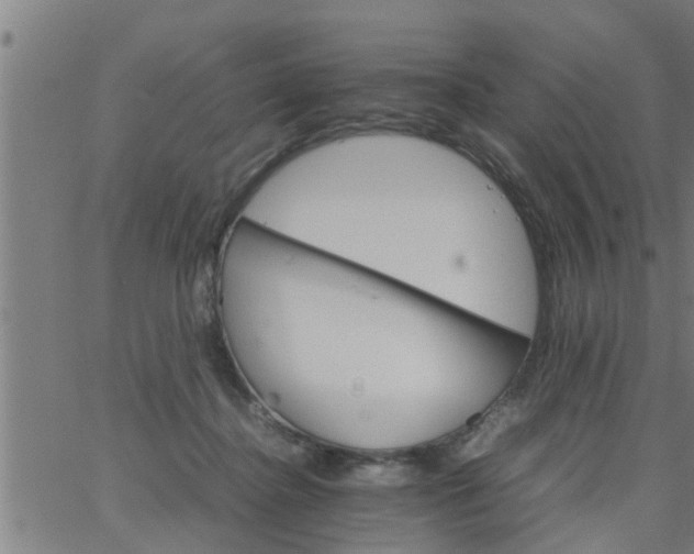 X0000066540364200603311851