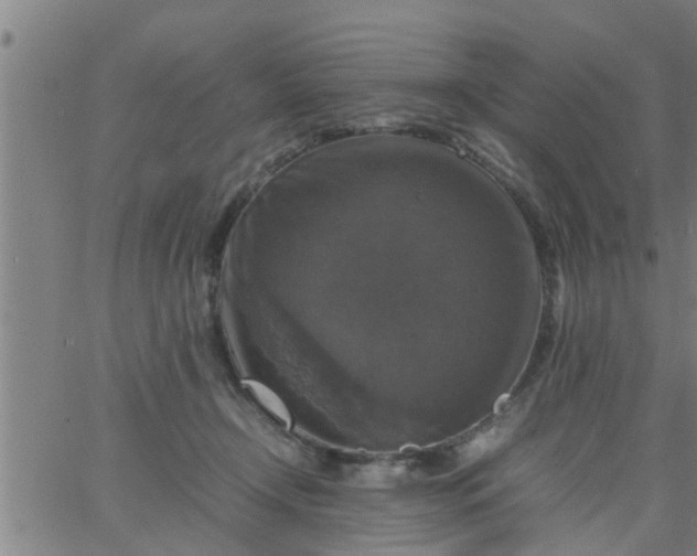 X0000066540366200603311851