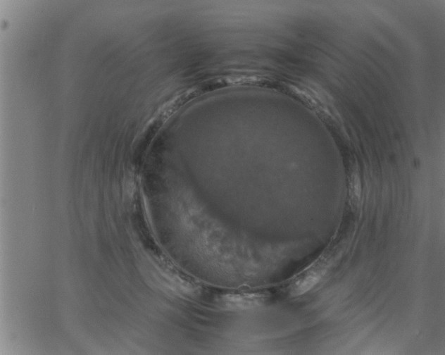 X0000066540367200603311851