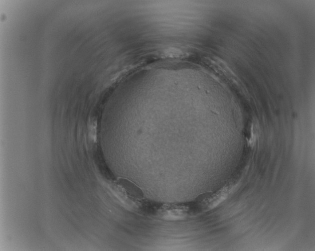 X0000066540368200603311851