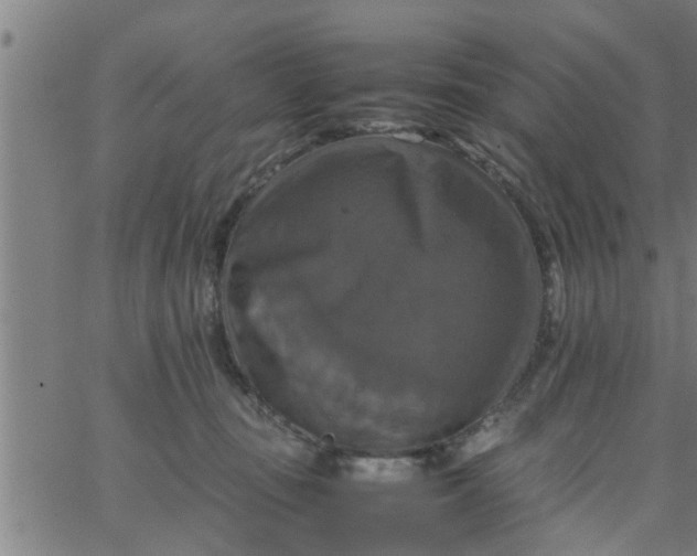 X0000066540371200603311851