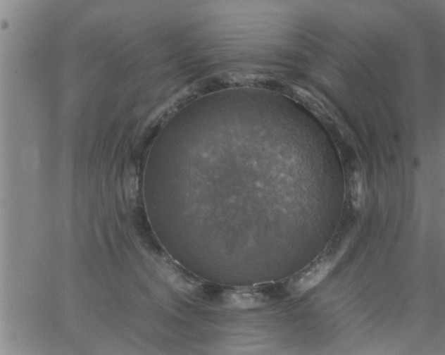 X0000066540372200603311851