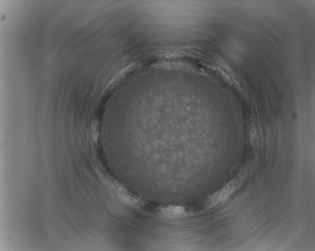 X0000066540374200603311851