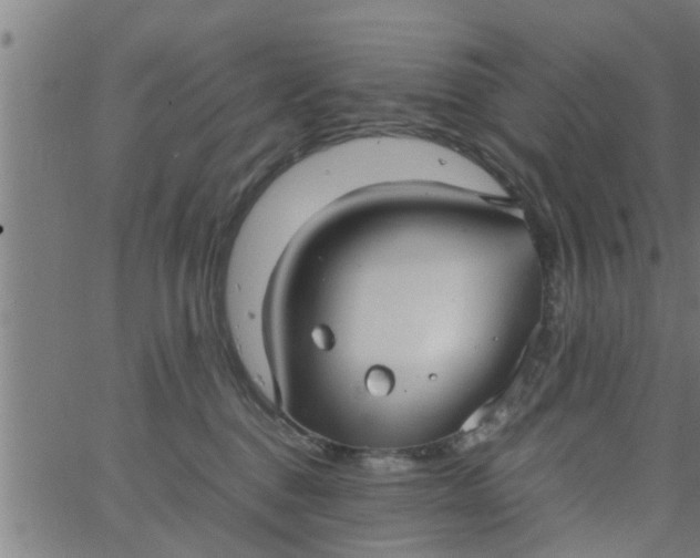 X0000066540376200603311851