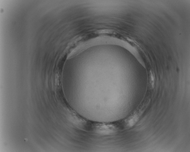 X0000066540379200603311851