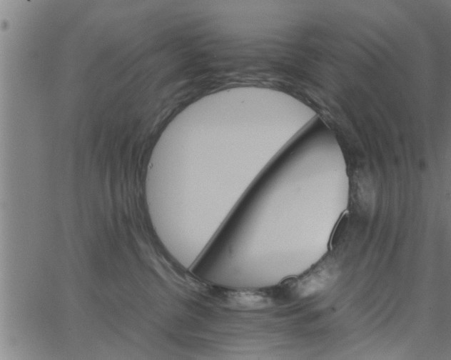 X0000066540380200603311851