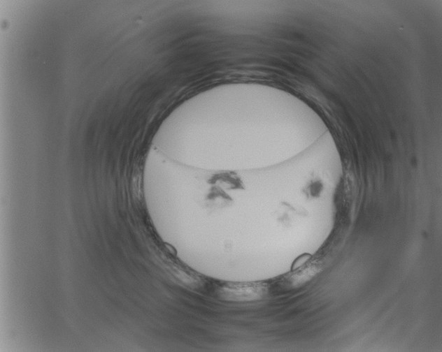 X0000066540381200603311851