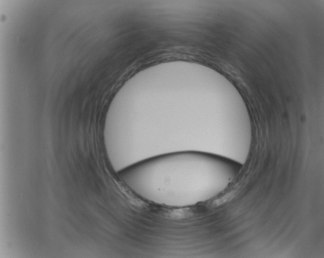 X0000066540382200603311851