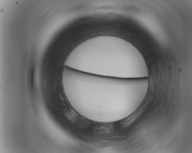 X0000066540383200603311851