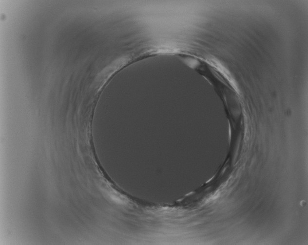 X0000066540385200603311850