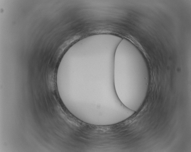 X0000066540386200603311850