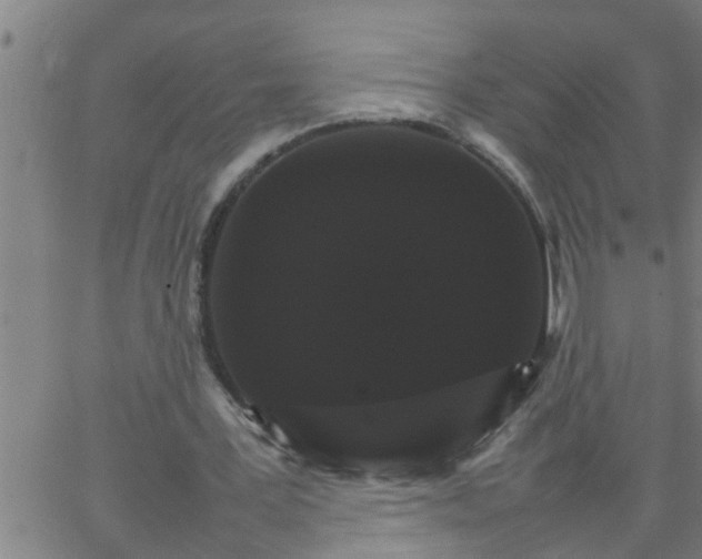 X0000066540387200603311850