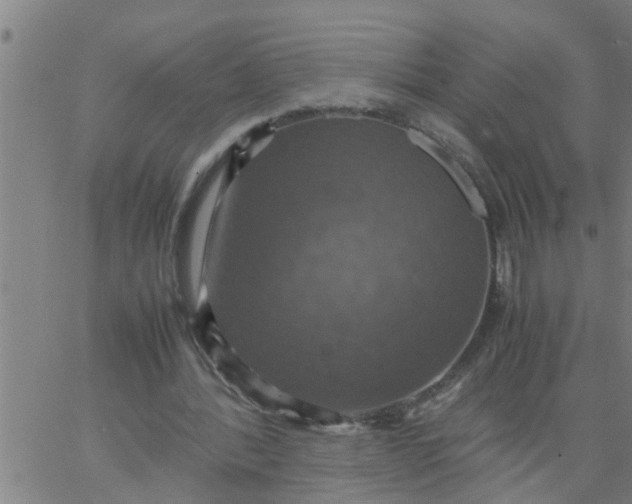 X0000066540388200603311850