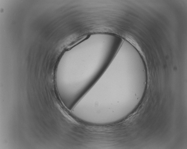 X0000066540389200603311850