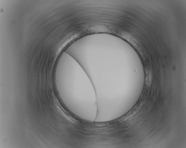 X0000066540390200603311850