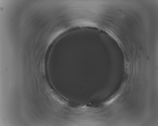 X0000066540391200603311850