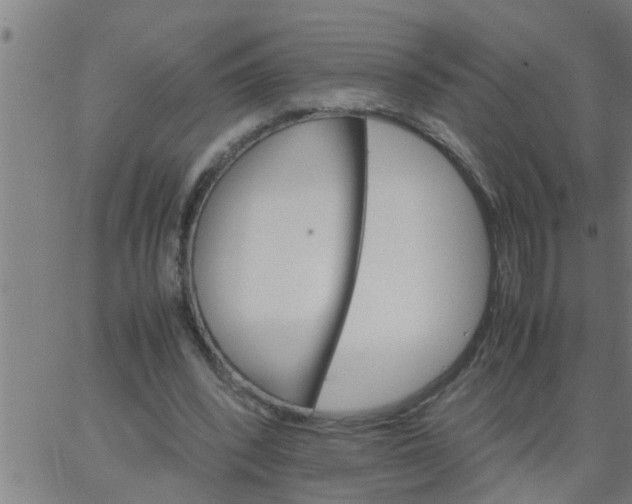 X0000066540392200603311850