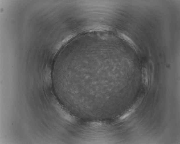 X0000066540394200603311850