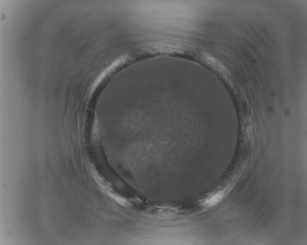 X0000066540395200603311850